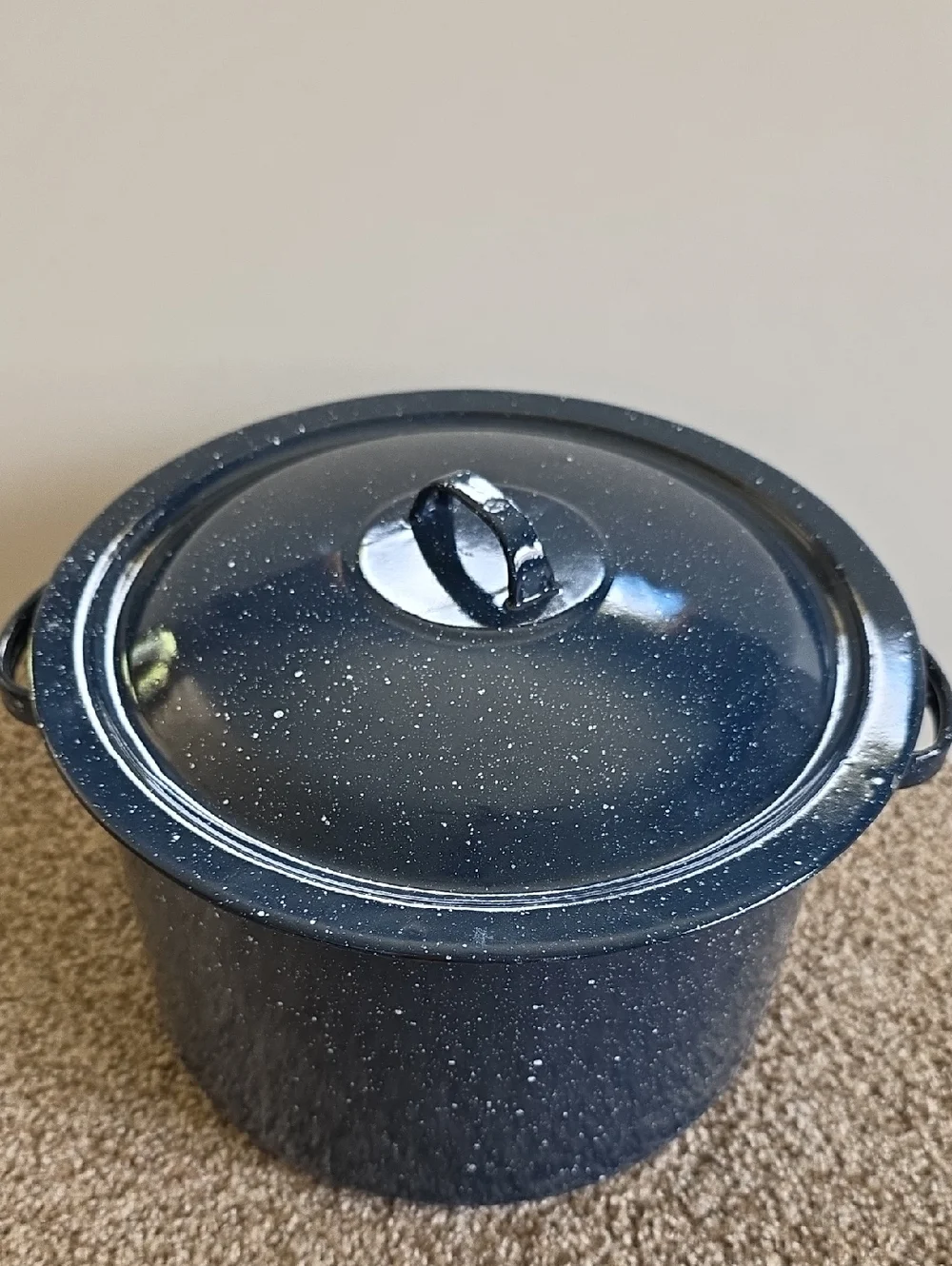 Stock Pot - Speckled Blue Enamel Stock Pot with Lid